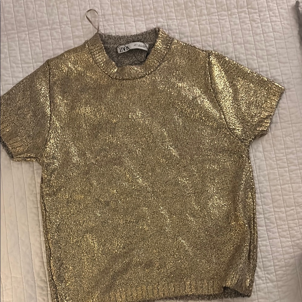 Zara Gold coated sweater Top